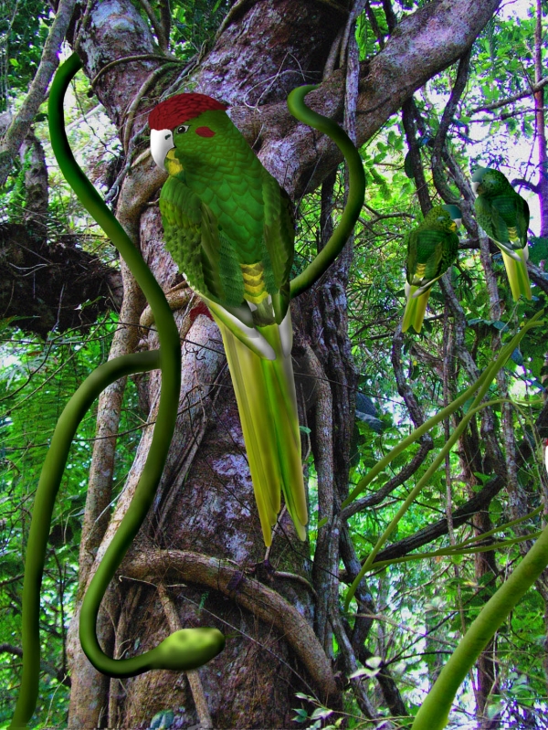 Creation of Jungle Life: Step 20